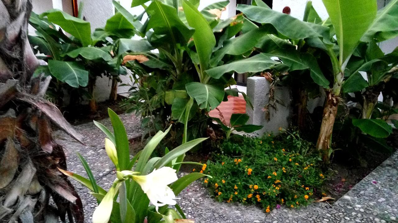 Oasis Hotel Bungalows Rhodes 아판토우 외부 사진